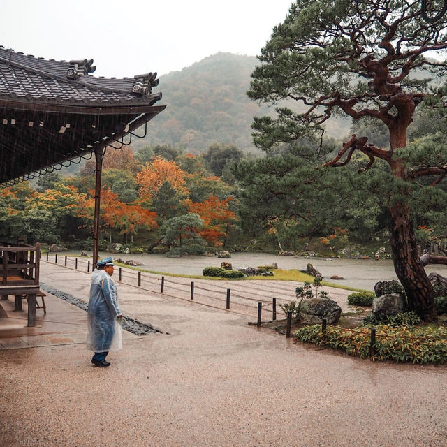 เกียวโตในวันที่คิดถึง.. Tenryuji Temple