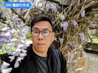 墨爾本賞花-南半球百花綻放的皇家植物園