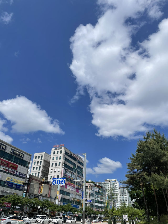 ソウル 서울 カフェ