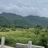Vietnam my country