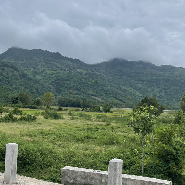 Vietnam my country