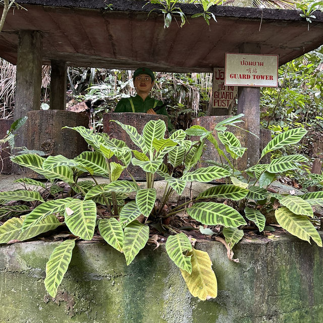 Betong Mouse Cave