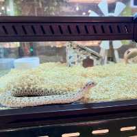 Pata Zoo Bangkok 