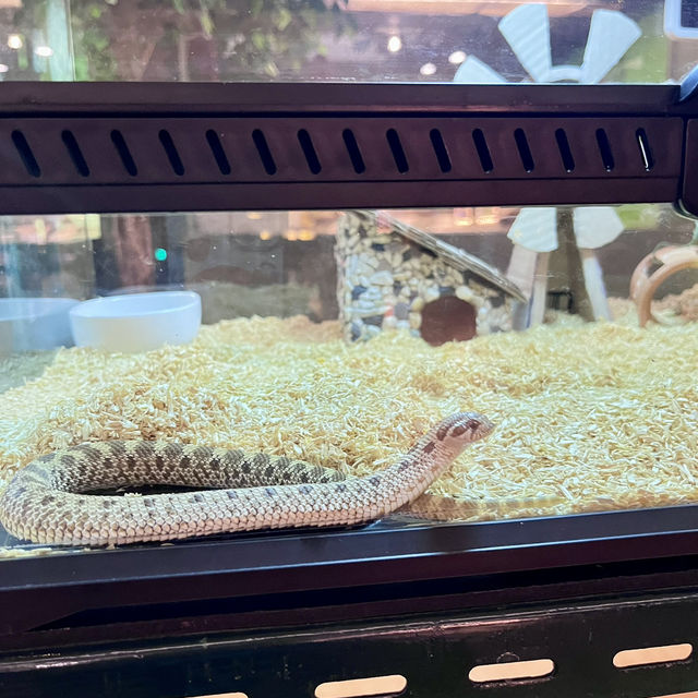 Pata Zoo Bangkok 