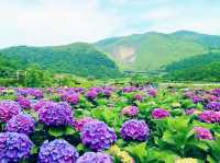 Discovering the Beauty of Citizen Recreational Garden 