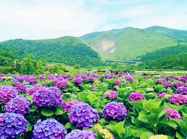 Discovering the Beauty of Citizen Recreational Garden 