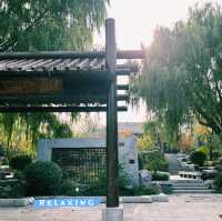 สวนสวยเมืองเจิ้งโจว 郑州园博园 