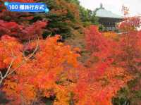 日本三景-宮島的漫山楓紅與海上鳥居