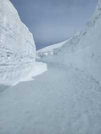 แจกแพลนเที่ยว Nagoya Japan (Alpine-Takayama)