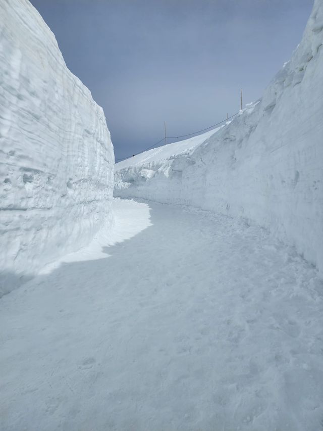 แจกแพลนเที่ยว Nagoya Japan (Alpine-Takayama)