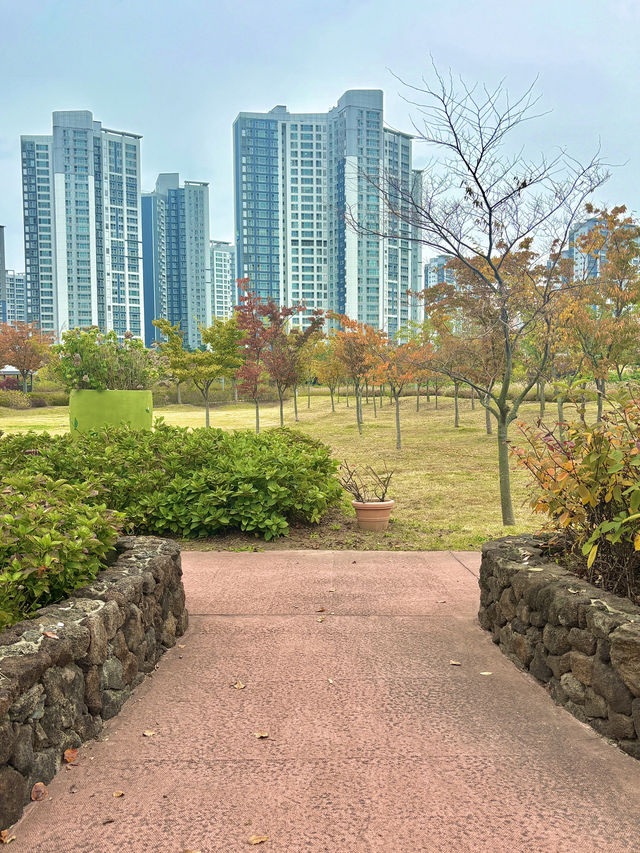 청라의 거주 중이라면 꼭 한번 가봐야 하는 호수공원🏞️
