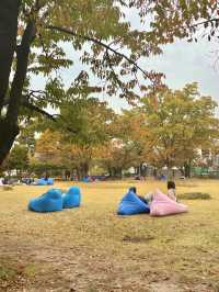 연인과 이색 도서관데이트를 즐기고 싶을 땐 북촌💛