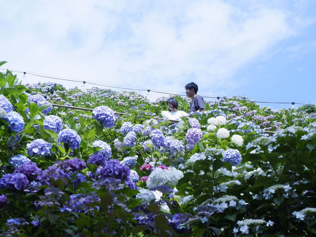 名古屋愛知縣景點：適合自駕遊 