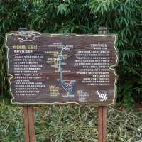 가을바람 느끼며 즐기는 특별한 야외데이트
