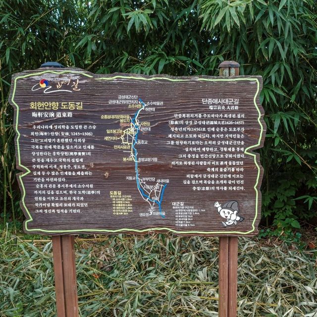 가을바람 느끼며 즐기는 특별한 야외데이트