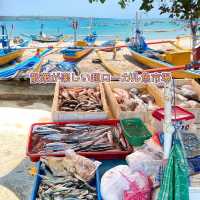 【バリ島】散策が楽しい✨ローカル魚市場🐟