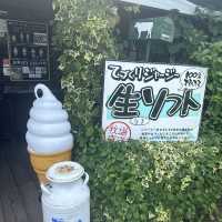 【熊本】ジャージ牛乳を使ったアイス屋さん！