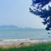 서해여행으로 추천하고 싶은 보령의 멋진 섬 - 삽시도