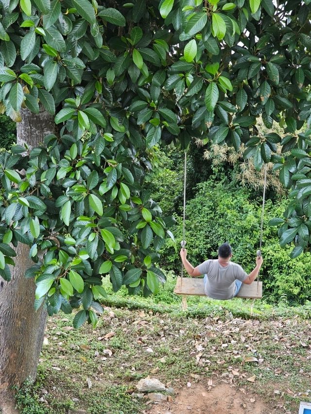 เขามัทรี จังหวัด ชุมพร