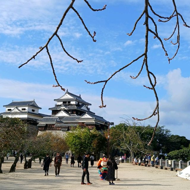 四國愛媛松山城