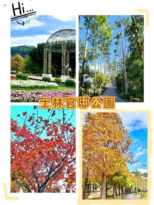 士林官邸公園-落羽松與紅葉互相輝映,構成美麗的自然風光