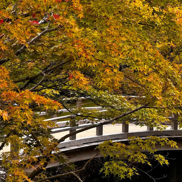 【神奈川】紅葉の時期にオススメスポット！