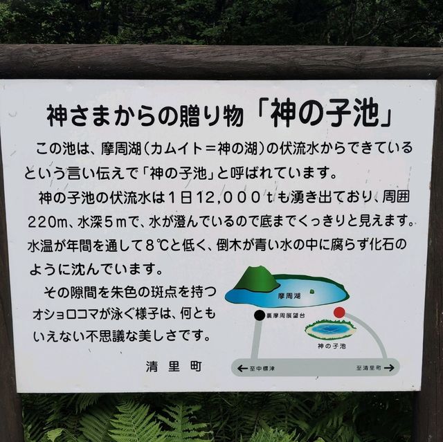 神の子池に来ました!!