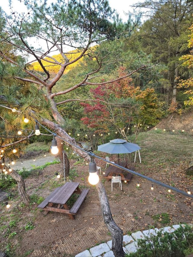가을감성 가득한 힐링뷰를 가진 거창 단풍카페🍁