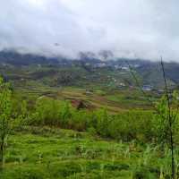 Sapa