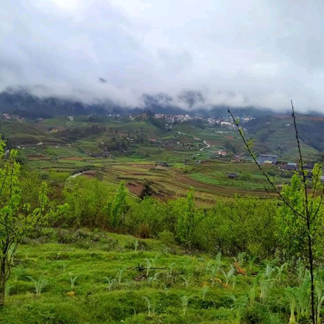 Sapa