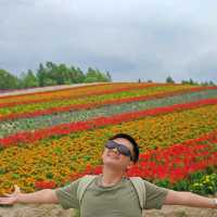 Flowering your summer in Hokkaido with Lavender, Melons