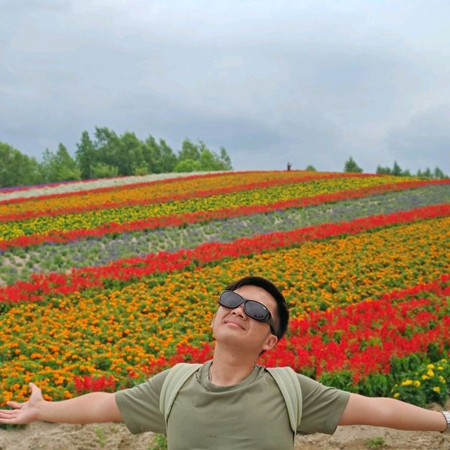 Flowering your summer in Hokkaido with Lavender, Melons