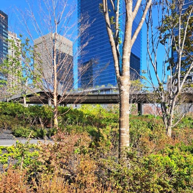 【グラングリーン大阪:大阪市北区】