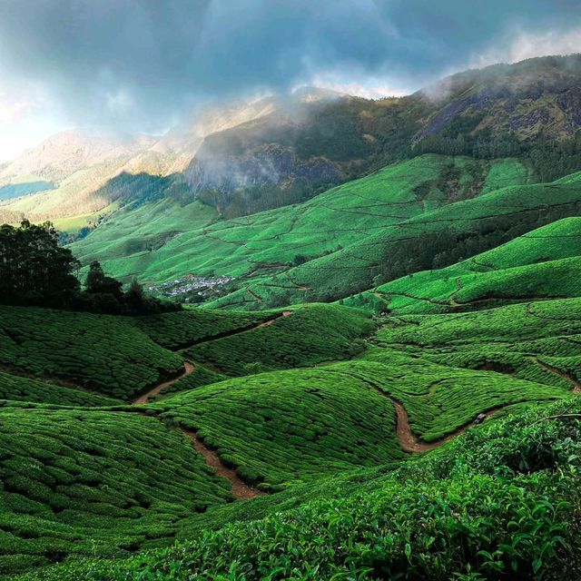 Munnar Magic: Unraveling the Charm of Kerala's Hill Station