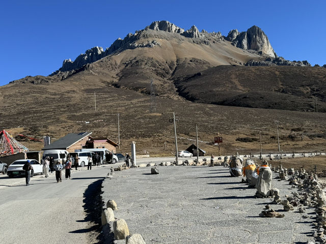 Scenic Baima Snow Mountain Yakou