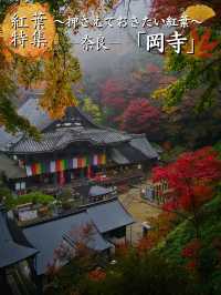 【紅葉特集】ビー玉の手水が映え📸神秘的な雰囲気を醸し出す紅葉スポットを紹介🔍駐車場攻略付🅿️