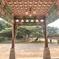 ソウルの昌徳宮に行きました!!