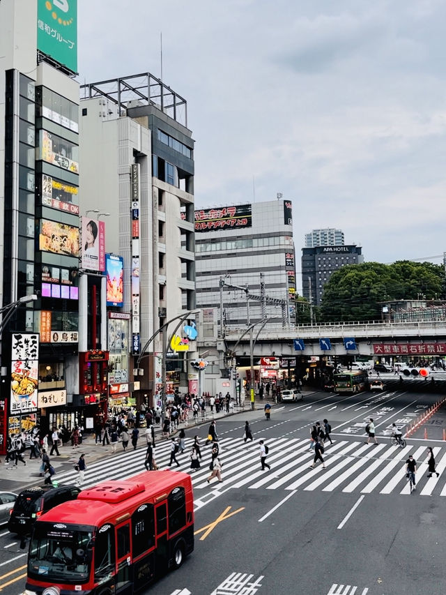 🇯🇵 東京成日機場出發 超美性價比酒店🗼