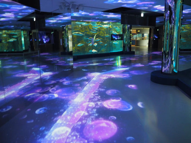 【石川/能登】癒しの幻想空間が広がる≪のとじま水族館≫ 