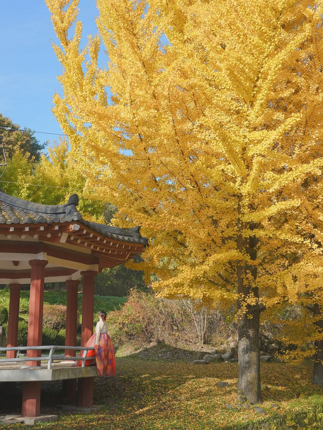 너무 아름다웠던 올 가을 제천 배론성지🍁🤎