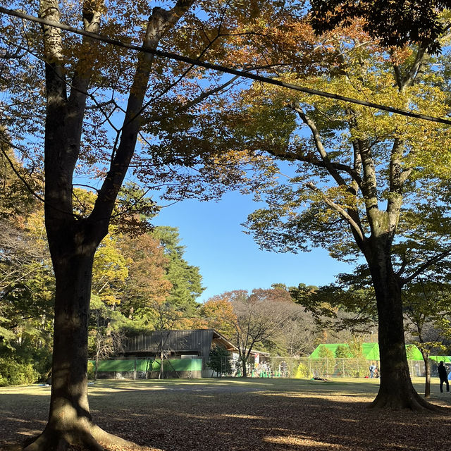 일본 치바 캠프&캠프장 [시미즈 공원 캠프장]🏕️