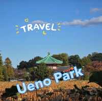 Ueno Park2024