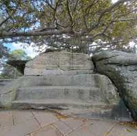 Mrs Macquarie's Chair