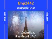 นิทรรศการ “คน-ผึ้ง-ป่า”