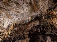 Exploring The Karst of Postojna Cave@Slovenia