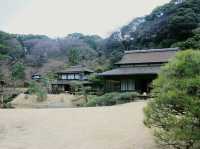#橫濱🇯🇵神奈川三溪園#
