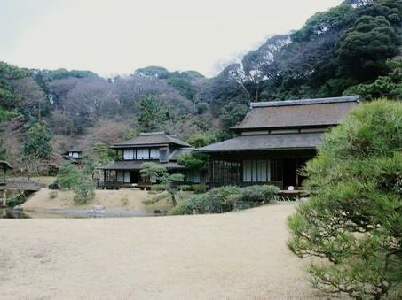#橫濱🇯🇵神奈川三溪園#
