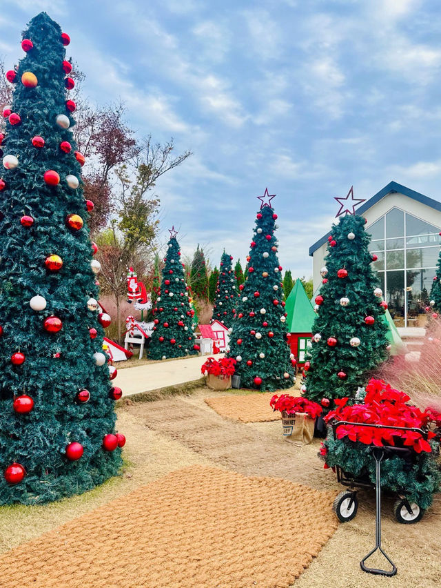 🥳🧸🤍전주 근교 대형카페 오늘 여기