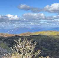【藤原岳】　⛰️鈴鹿セブンマウンテン
