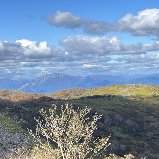 【藤原岳】　⛰️鈴鹿セブンマウンテン